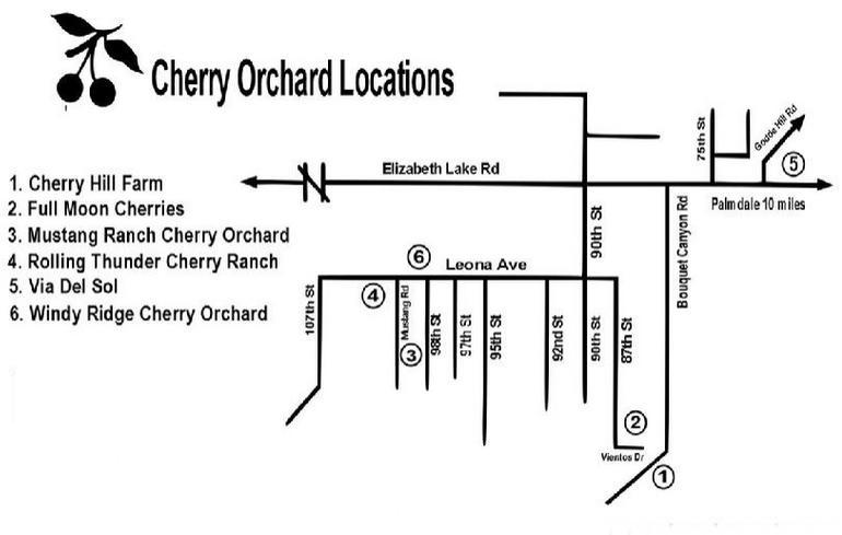 Leona Valley Cherry Orchard Map 2024