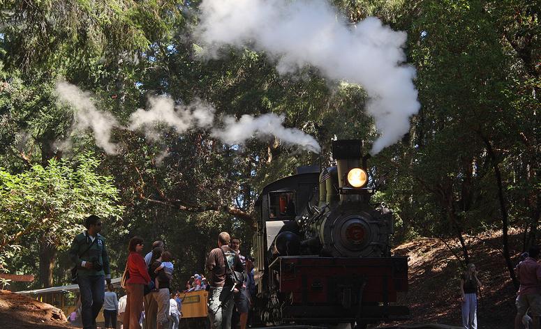 Top of Bear Mountain Roaring Camps Railway