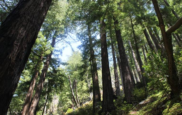 California Big Sur Region