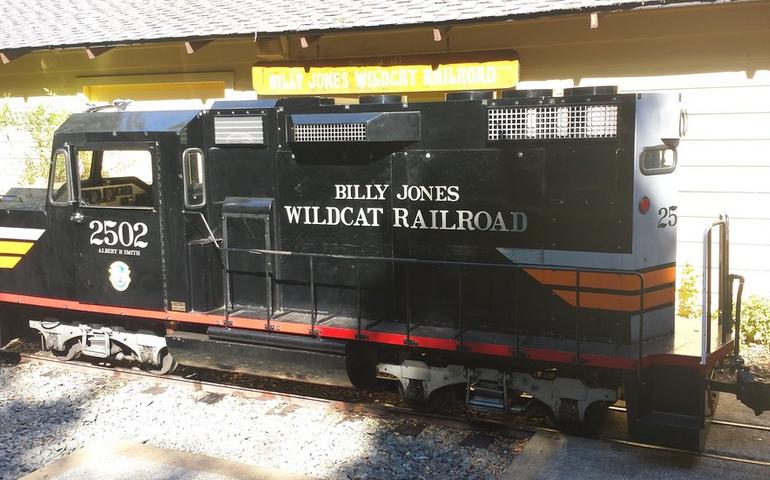 Billy Jones Wildcat Railroad