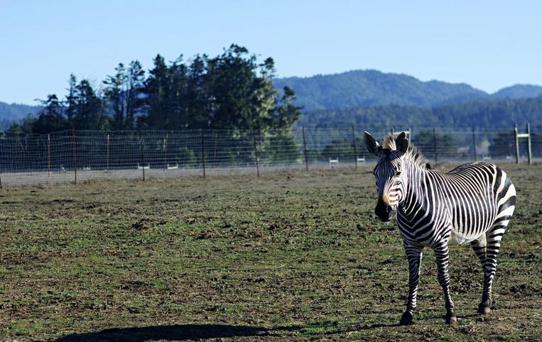 Bryan Preserve Southern Mendocino County