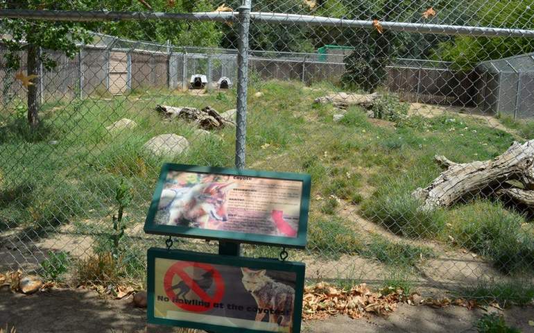 California Living Museum Bakersfield