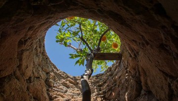 Forestiere Underground Gardens