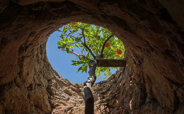 Forestiere Underground Gardens