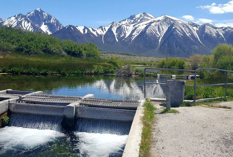 Hot Creek Fish Hatchery