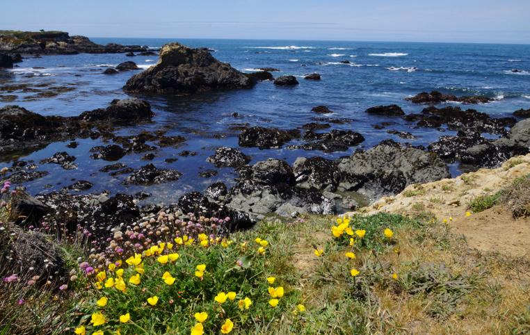 Mendocino County