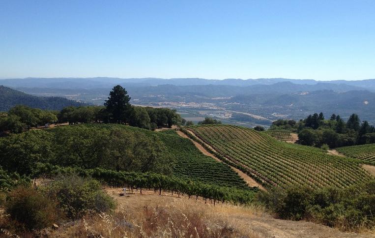 Mendocino County Wine Tasting