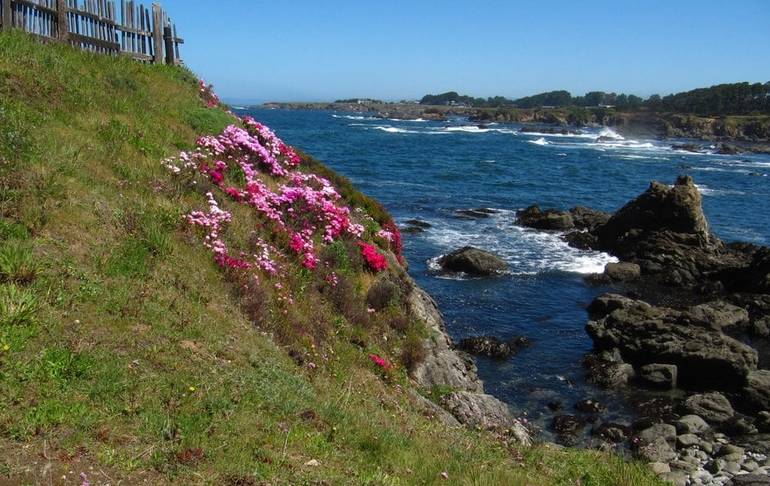 Mendocino Coast Botanical Gardens