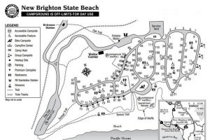 New Brighton State Beach Camping - Day Use Activities - Daytrippen.com