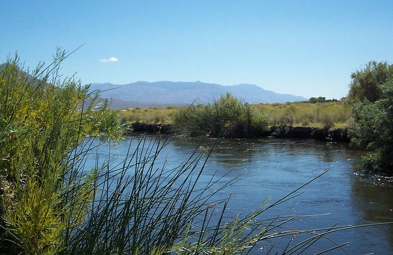 Owens River near Bishop California