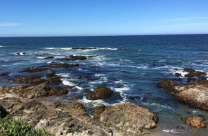 Pescadero San Francisco Day Trip Things To Do and See