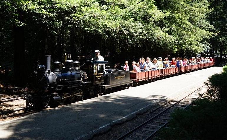 Redwood Valley Steam Train