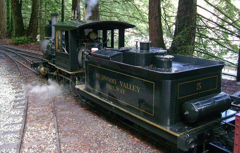 Redwood Valley Steam Train