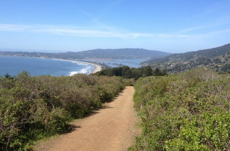 Stinson Beach Mount Tam Trail