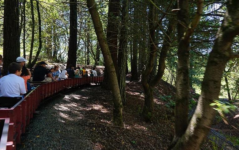 Redwood Valley Steam Train