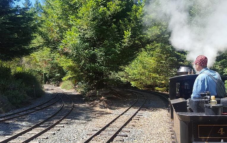 Redwood Valley Steam Train