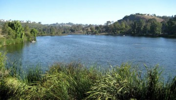 Laguna Niguel Regional Park Day Trip