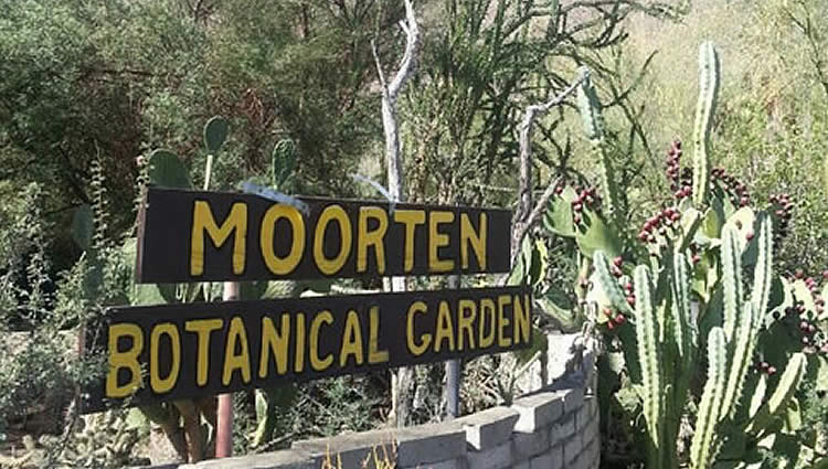 Moorten Botanical Gardens Palm Springs