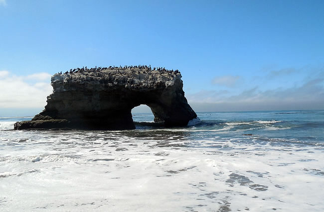 Natural Bridges State Beach