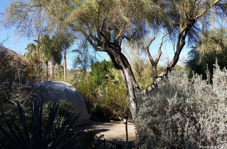 Moorten Botanical Gardens Palm Springs