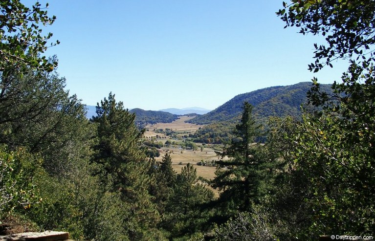 Palomar Mountain State Park