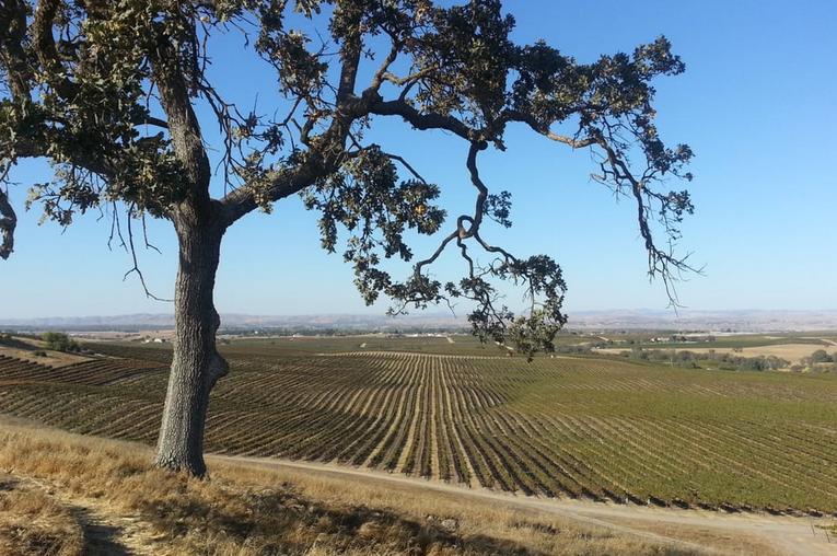 Romantic Getaway to Paso Robles Wine Country