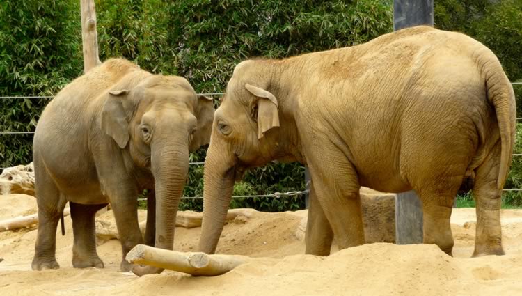 Santa Barbara Zoo