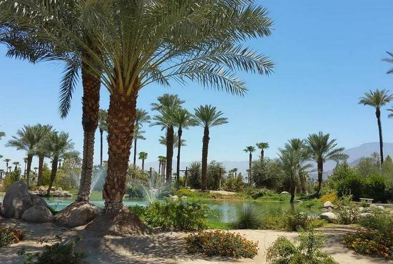 Discover Shields Date Garden - Palm Springs Day Trip