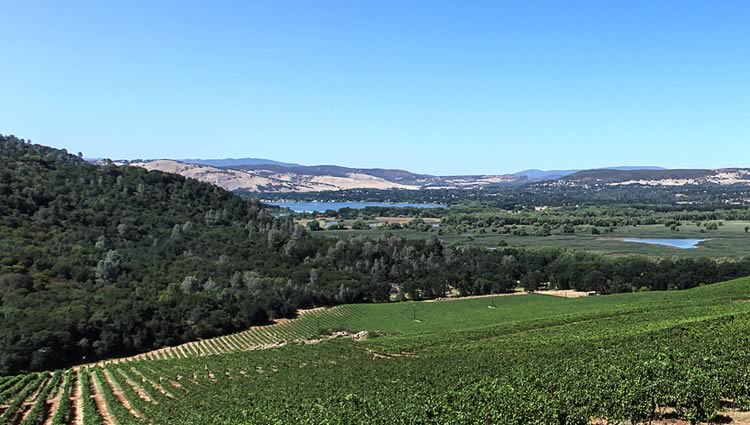 Wine Tasting Sacramento River Delta