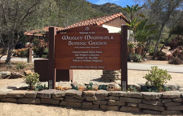 Wrigley Botanical Gardens Catalina Island