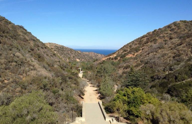 Wrigley Botanical Gardens Catalina Island