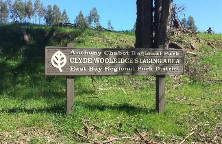 Anthony Chabot Regional Park Day Trip Activities Things To Do