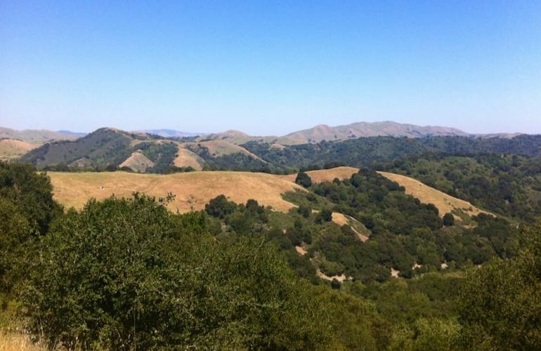 Anthony Chabot Regional Park Bay Area Day Trip