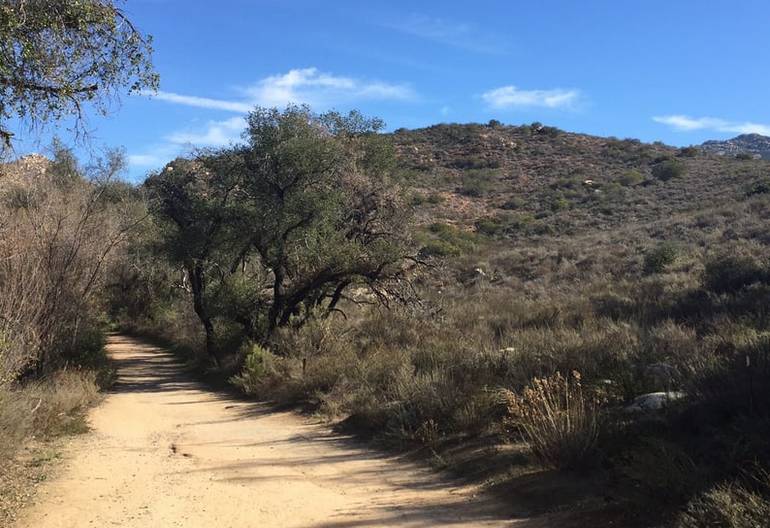 Blue Sky Ecological Reserve