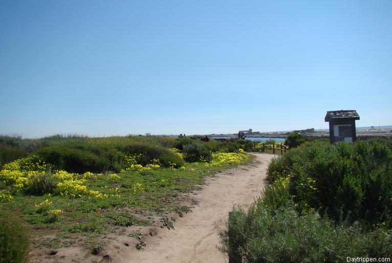 Bolsa Chica Wetlands Huntington Beach