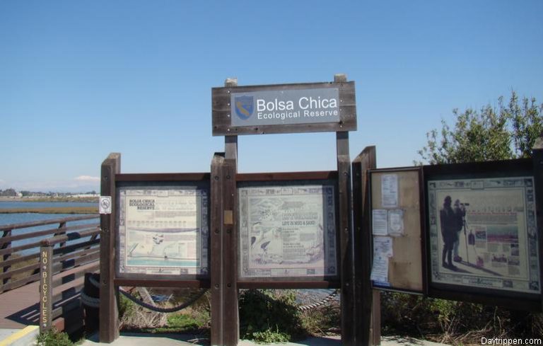 Bolsa Chica Wetlands Huntington Beach Orange County Day Trip