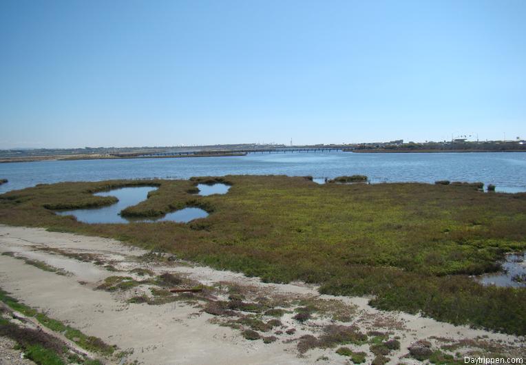 Bolsa Chica Wetlands Huntington Beach