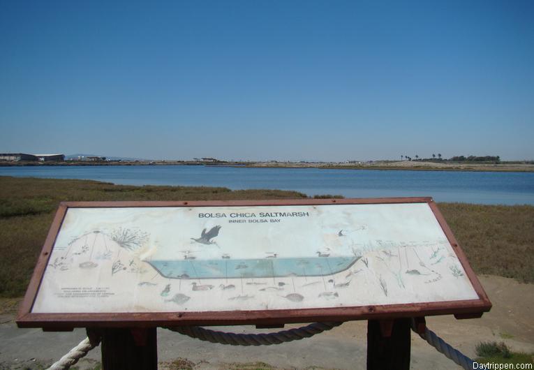 Bolsa Chica Wetlands Huntington Beach