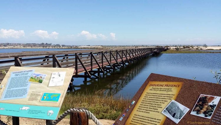 Bolsa Chica Wetlands Orange County Day Trip