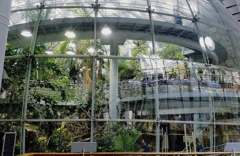 California Academy of Sciences Rainforest