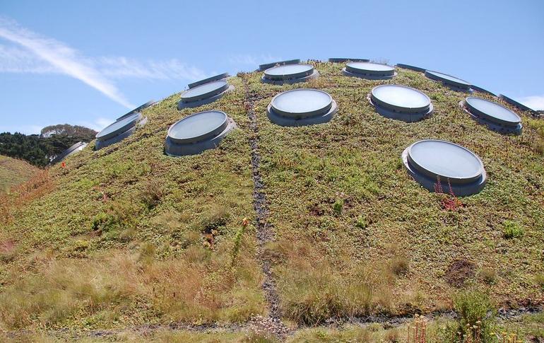 California Academy of Sciences