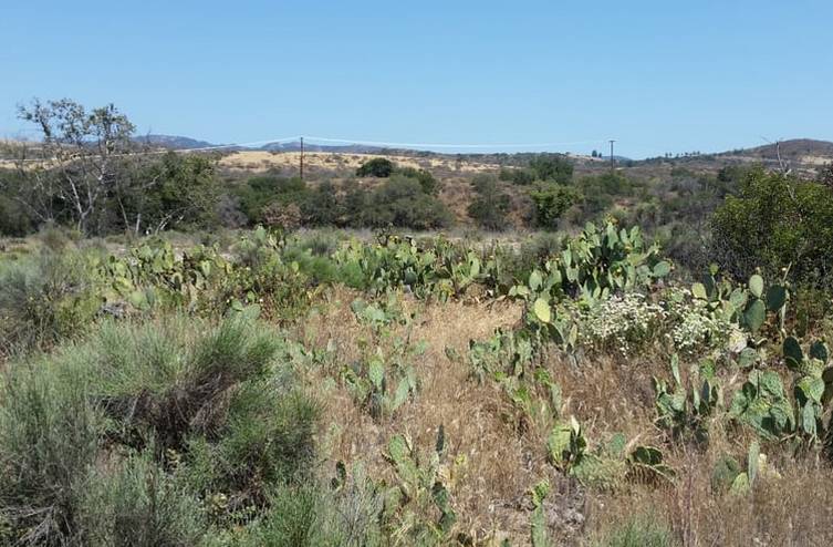 Caspers Wilderness Park