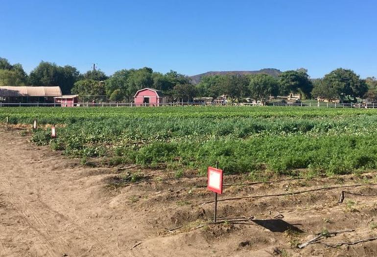 Underwood Family Farms 