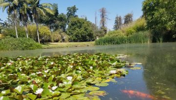 Fullerton Arboretum Day Trip