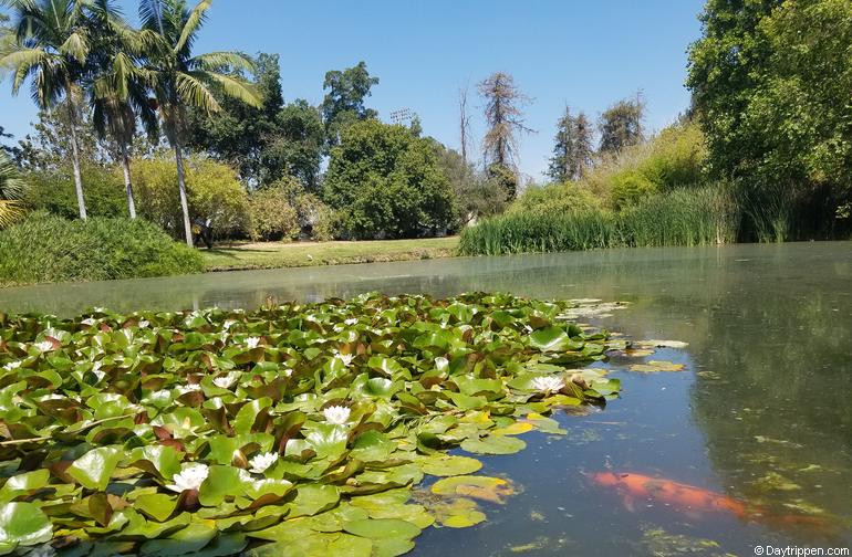 Fullerton Arboretum Day Trip