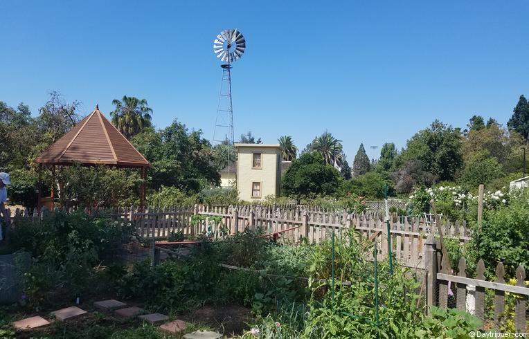 Vegetable Gardens