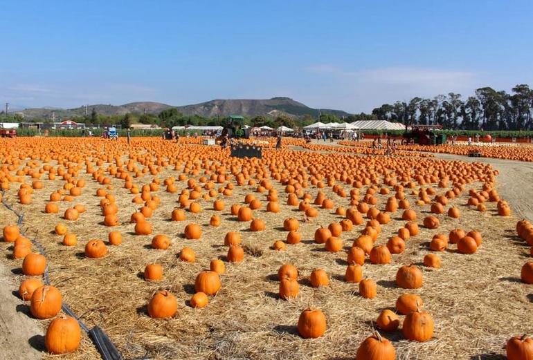 Farms Fall Festival