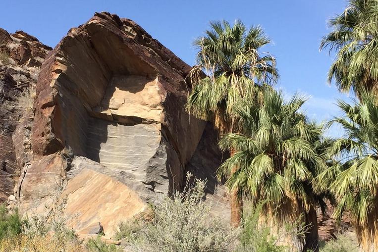 Indian Canyons Palm Springs