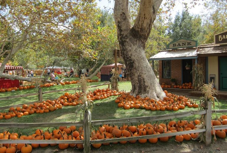 Irvine Park Railroad Pumpkin Patch