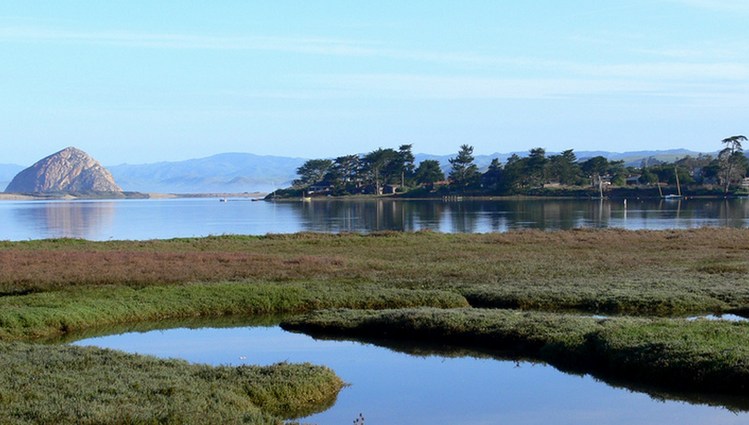 Los Osos Baywood Park Central Coast Day Trip